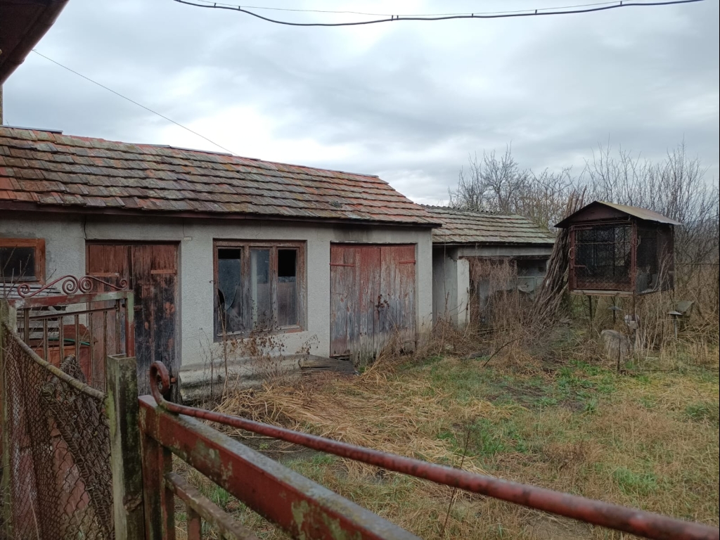 WhatsApp Image 2026-02-14 at 21.23.15