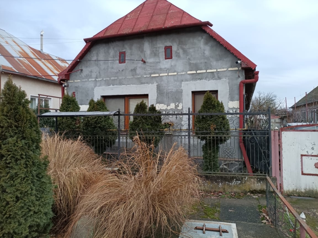 WhatsApp Image 2026-02-14 at 11.29.11