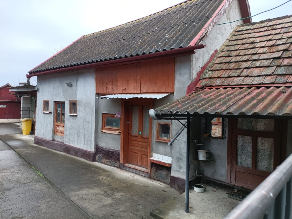 WhatsApp Image 2026-02-14 at 11.29.30