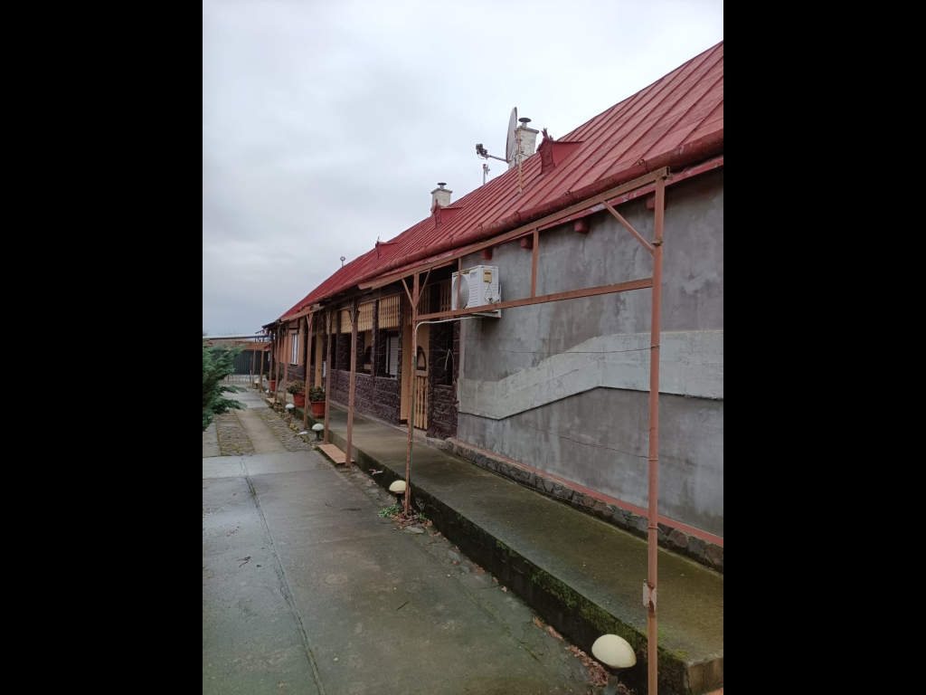 WhatsApp Image 2026-02-14 at 11.29.30 (1)