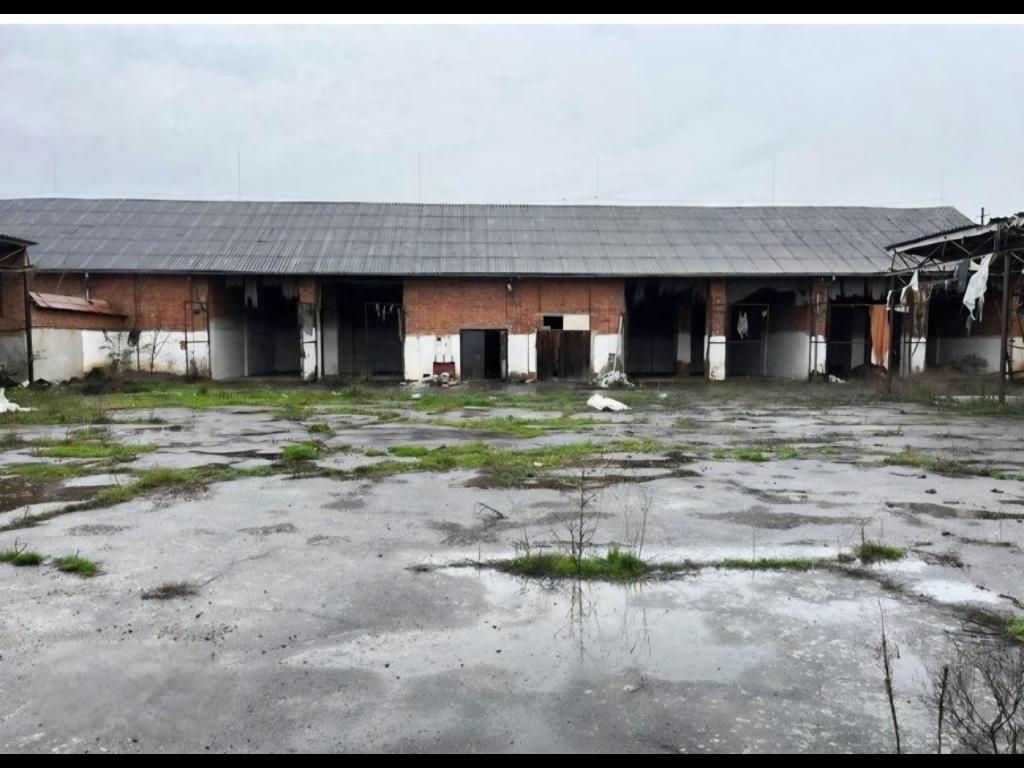 зображення_viber_2025-12-23_19-13-28-767