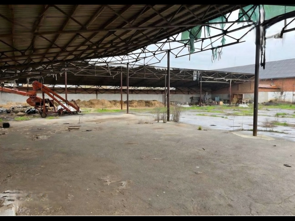 зображення_viber_2025-12-23_19-13-29-185