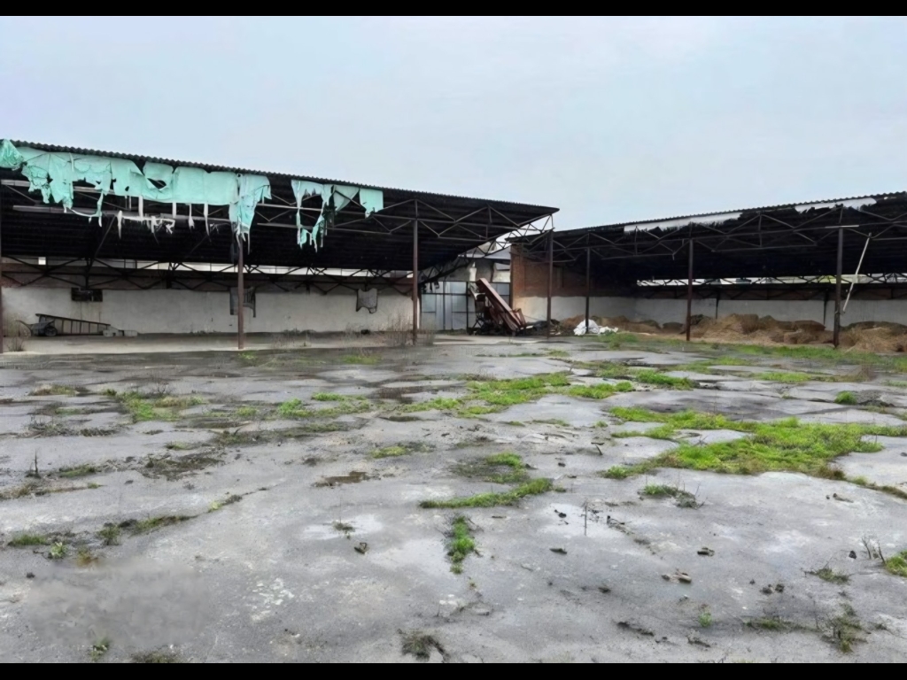 зображення_viber_2025-12-23_19-13-29-192