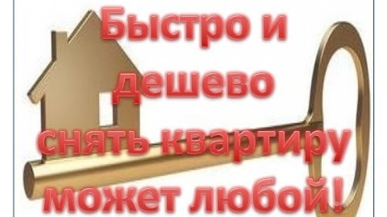 Как быстро и дешево снять квартиру без посредников