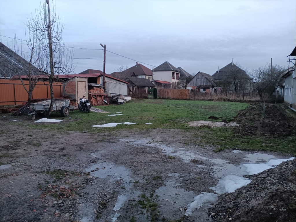 WhatsApp Image 2026-02-14 at 11.38.53 (1)