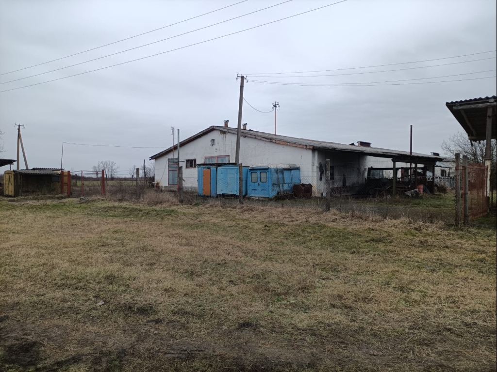 WhatsApp Image 2026-02-14 at 09.42.52