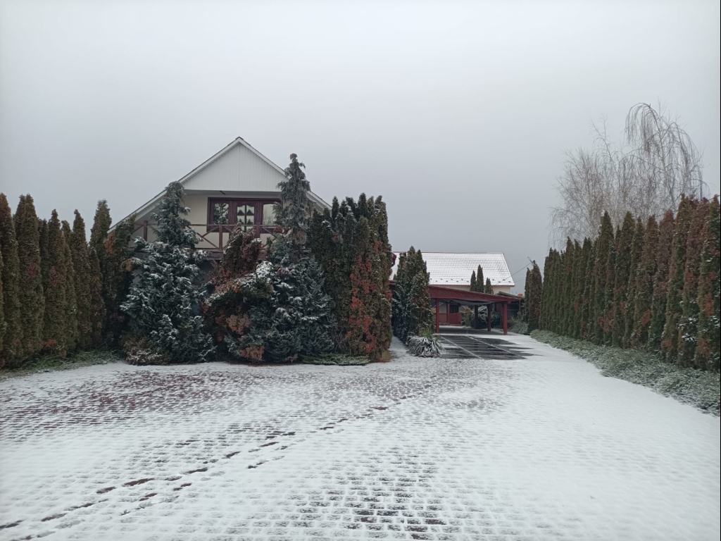 WhatsApp Image 2026-02-14 at 08.53.12