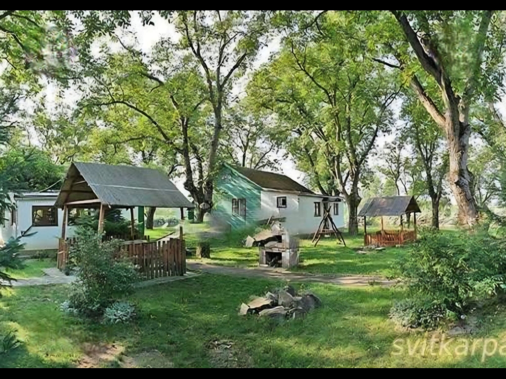 зображення_viber_2025-12-23_19-03-57-382