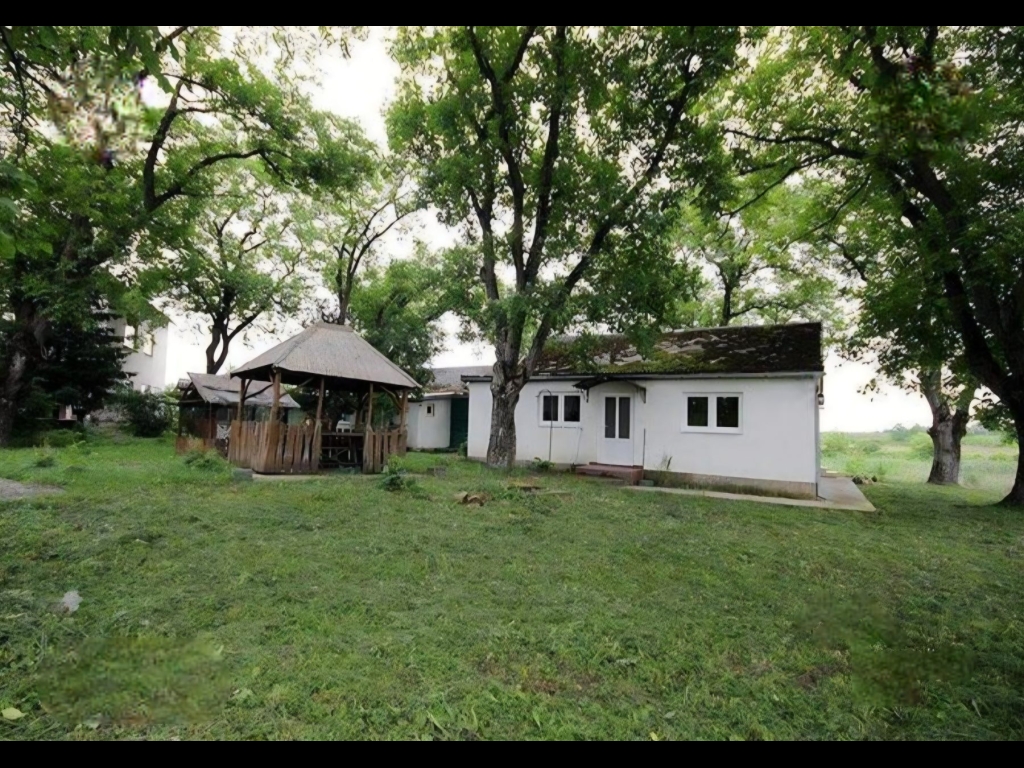 зображення_viber_2025-12-23_19-03-57-588