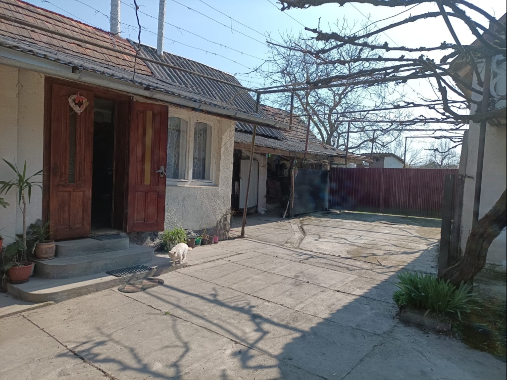 WhatsApp Image 2026-04-13 at 12.22.20 (2)