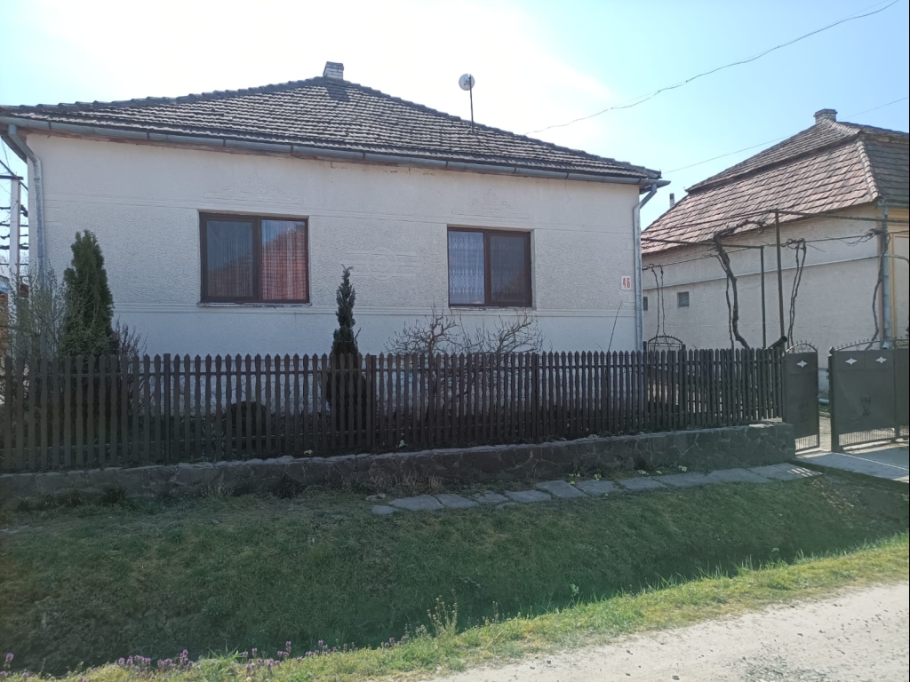 WhatsApp Image 2026-04-13 at 12.22.21 (1)