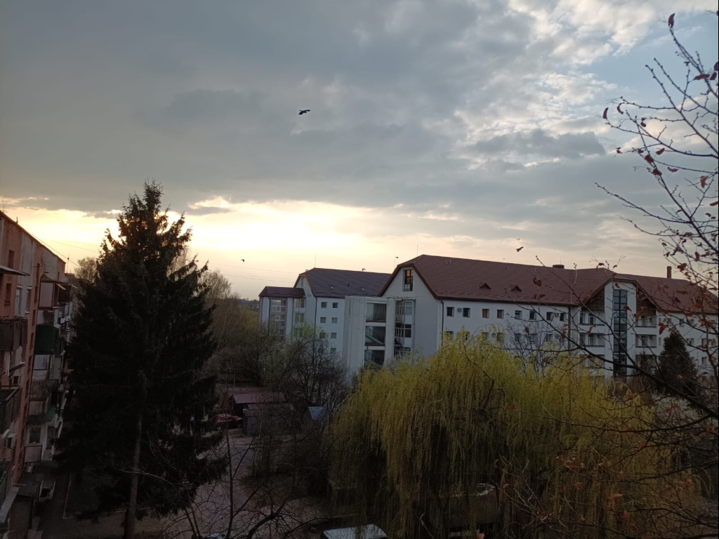 WhatsApp Image 2026-04-13 at 15.38.58