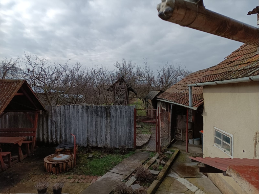 WhatsApp Image 2026-04-13 at 16.07.10 (1)