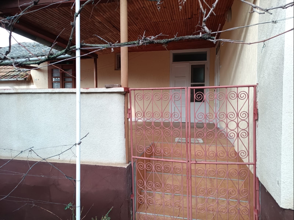 WhatsApp Image 2026-04-13 at 16.07.10 (2)