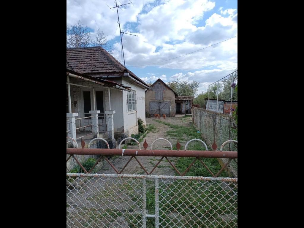 viber_image_2026-04-29_03-26-31-524